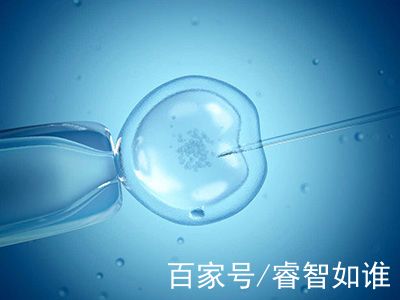 青瓷医疗